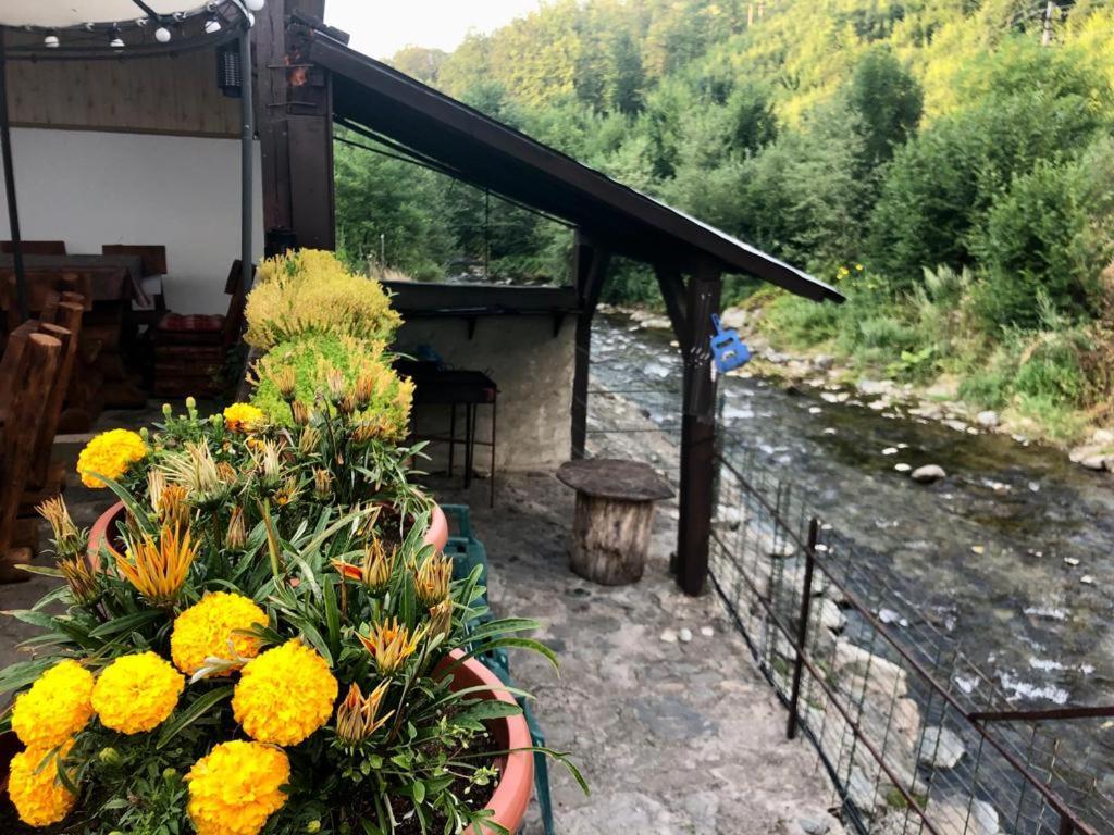 Вилла Podul De Brazi - Fir Bridge Кырцишоара Экстерьер фото
