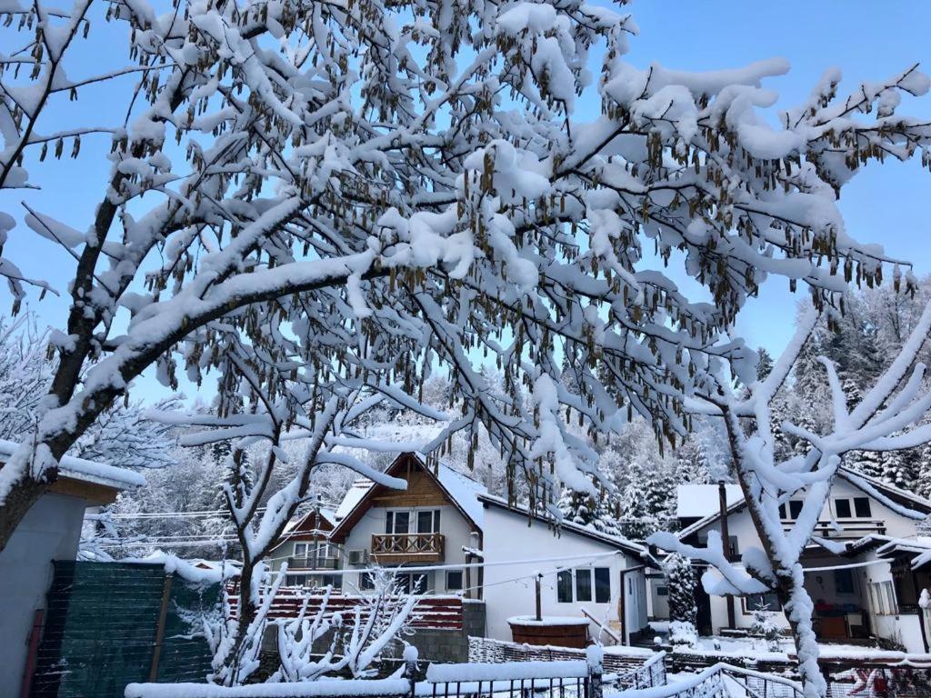 Вилла Podul De Brazi - Fir Bridge Кырцишоара Экстерьер фото
