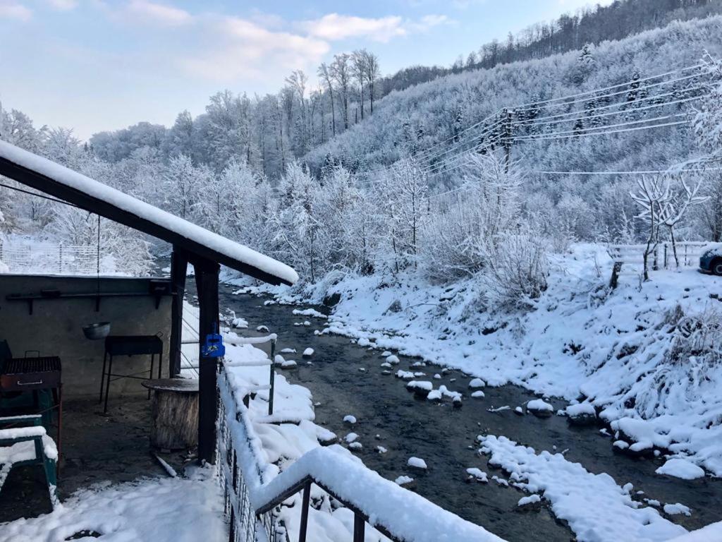 Вилла Podul De Brazi - Fir Bridge Кырцишоара Экстерьер фото