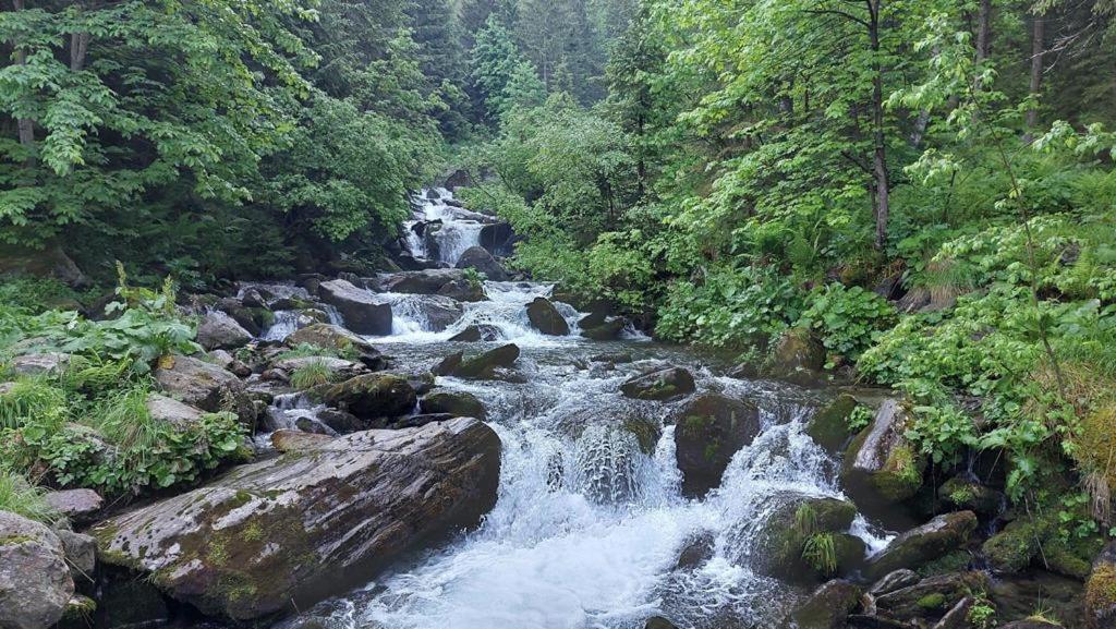 Вилла Podul De Brazi - Fir Bridge Кырцишоара Экстерьер фото